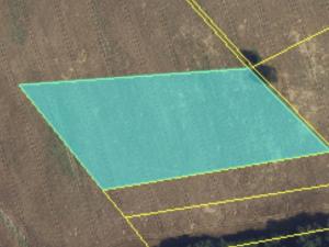 Prodej pole, Buková, 12826 m2