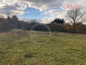 Prodej louky, Nepomuk, 3848 m2