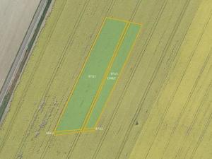 Prodej pole, Dolní Roveň, 36215 m2