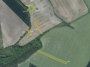 Prodej pole, Děčany, 78982 m2