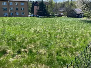 Prodej pozemku pro bydlení, Hamr na Jezeře, 875 m2