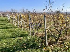 Prodej pozemku, Bukovany, 957 m2