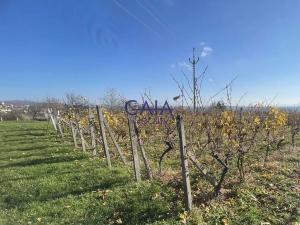 Prodej pozemku, Bukovany, 957 m2