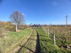 Prodej pozemku, Bukovany, 957 m2