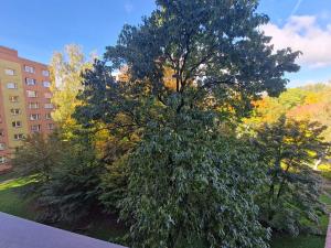 Prodej bytu 2+1, Frýdek-Místek, Bezručova, 55 m2