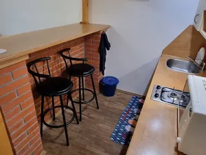 Pronájem bytu 1+kk, Praha - Žižkov, Jagellonská, 34 m2