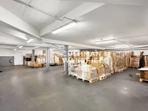 Prodej skladu, Chodov, U Porcelánky, 12337 m2