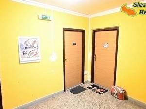 Prodej bytu 1+1, Ostrava, Lumírova, 40 m2