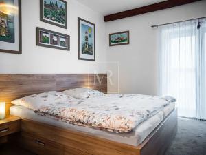 Prodej vícegeneračního domu, Sulice, Hlavní, 370 m2