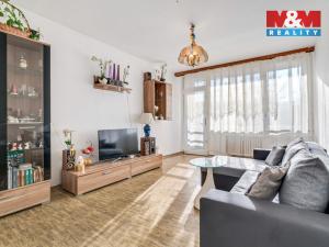 Prodej bytu 3+1, Ústí nad Labem - Krásné Březno, Družstevní, 65 m2