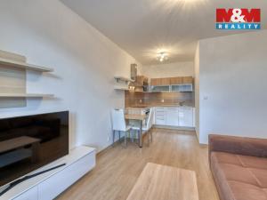 Pronájem bytu 2+kk, Dobřany, Jungmannova, 41 m2