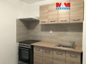 Pronájem bytu 1+1, Opočno, Kupkovo nám., 28 m2