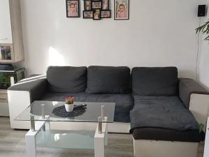 Pronájem rodinného domu, Velké Bílovice, 80 m2