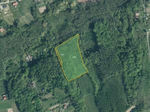 Prodej lesa, Doubrava, 10811 m2