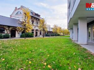 Pronájem kanceláře, Praha, Jankovcova, 58 m2