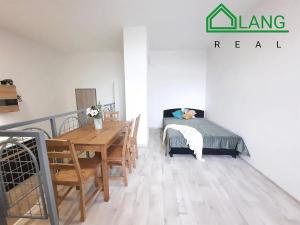 Pronájem bytu 1+kk, Brno, Palackého třída, 33 m2