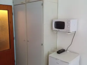 Pronájem bytu 1+kk, Tábor, Zborovská, 20 m2