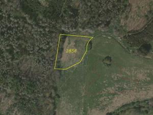 Prodej pozemku, Dešná - Dančovice, 4036 m2