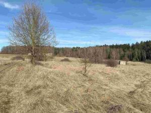 Prodej pozemku, Františkovy Lázně, 2500 m2