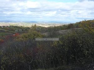 Prodej zahrady, Židlochovice, 2384 m2