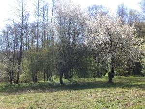 Prodej pozemku, Kamenná - Kondrač, 2542 m2