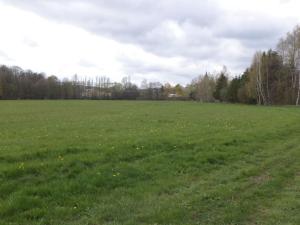 Prodej pole, Tachov, 23048 m2