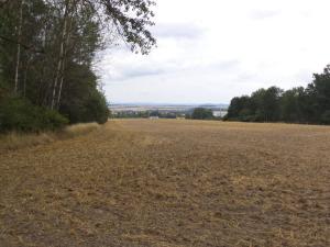 Prodej zahrady, Heřmanova Huť - Vlkýš, 1100 m2