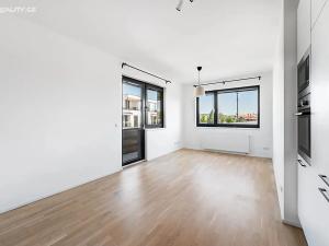 Pronájem bytu 2+kk, Praha - Vinohrady, Perucká, 46 m2