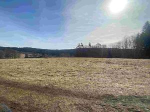 Prodej pole, Kraslice, 3869 m2