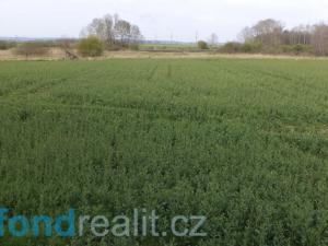 Prodej pole, Žíšov, 3467 m2