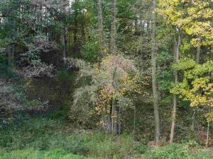 Prodej pozemku, Hrádek nad Nisou - Dolní Sedlo, 543 m2