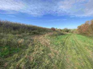 Prodej pozemku, Svijany, 4905 m2