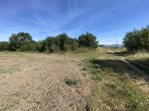 Prodej komerčního pozemku, České Velenice, 26974 m2