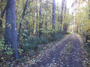 Prodej pozemku, Římov - Dolní Stropnice, 2102 m2