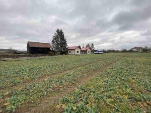 Prodej pole, Oráčov, 19275 m2