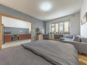 Prodej bytu 1+1, Praha - Podolí, Nedvědovo náměstí, 37 m2