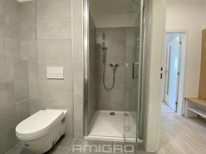 Pronájem bytu 1+kk, Brno, Reissigova, 32 m2