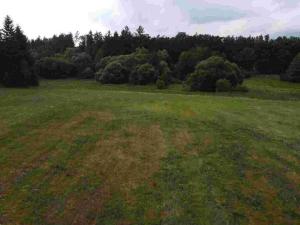 Prodej pole, Chýnov - Dobronice u Chýnova, 22334 m2