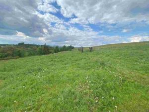 Prodej pozemku, Břidličná - Vajglov, 7130 m2