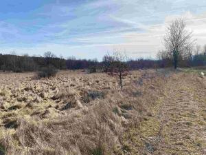 Prodej pole, Františkovy Lázně, 15408 m2