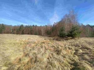 Prodej pole, Františkovy Lázně, 15408 m2