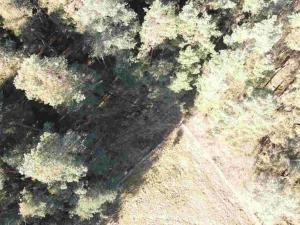 Prodej pozemku, Tisová - Kumpolec, 4563 m2