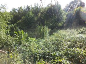 Prodej pole, Malé Březno, 14517 m2