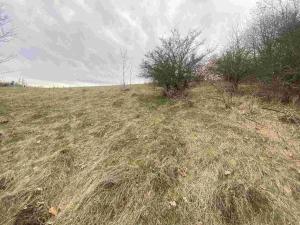 Prodej pole, Mírová pod Kozákovem, 22044 m2