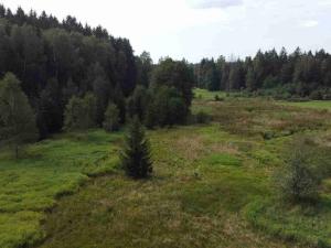 Prodej pole, Rozvadov, 52176 m2