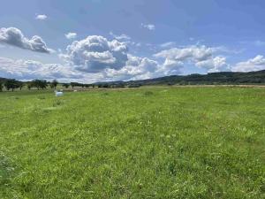 Prodej pole, Lhenice - Hrbov, 55481 m2