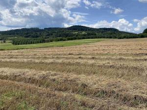 Prodej pole, Lhenice - Hrbov, 55481 m2