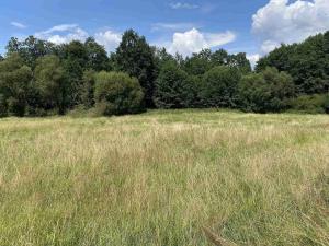 Prodej pole, Lhenice - Hrbov, 55481 m2