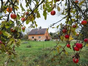 Prodej rodinného domu, Soběšín, 90 m2