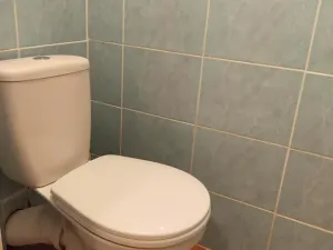 Pronájem bytu 2+kk, Kozojedy, 46 m2